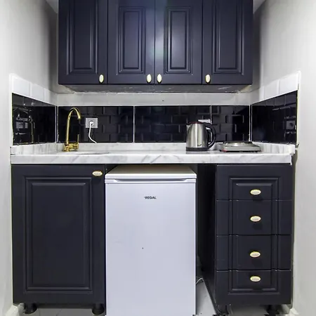 Апартаменты Modern Flat In The Heart Of Beyoglu